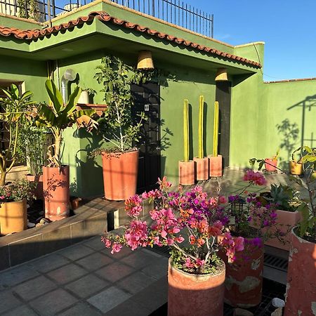 Hostal Nordes Oaxaca Εξωτερικό φωτογραφία
