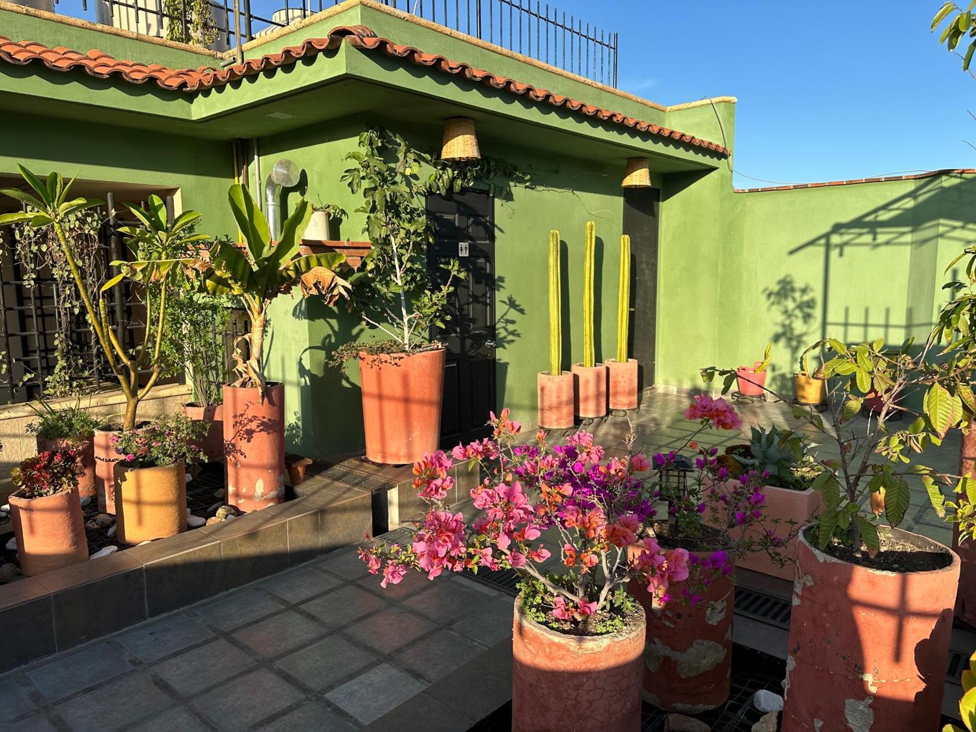 Hostal Nordes Oaxaca Εξωτερικό φωτογραφία